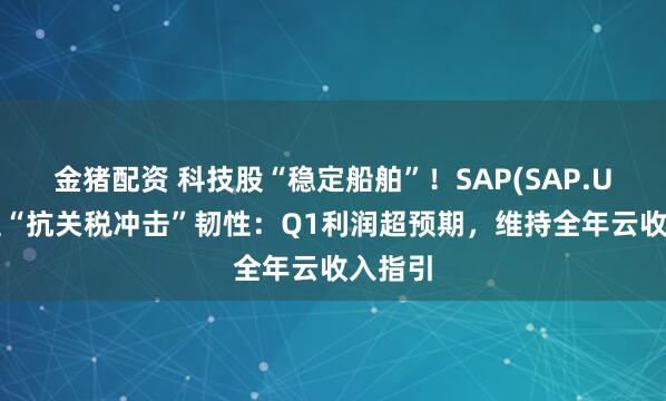 金猪配资 科技股“稳定船舶”！SAP(SAP.US)彰显“抗关税冲击”韧性：Q1利润超预期，维持全年云收入指引
