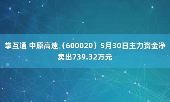 掌互通 中原高速（600020）5月30日主力资金净卖出739.32万元