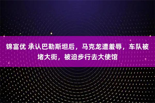 锦富优 承认巴勒斯坦后，马克龙遭羞辱，车队被堵大街，被迫步行去大使馆