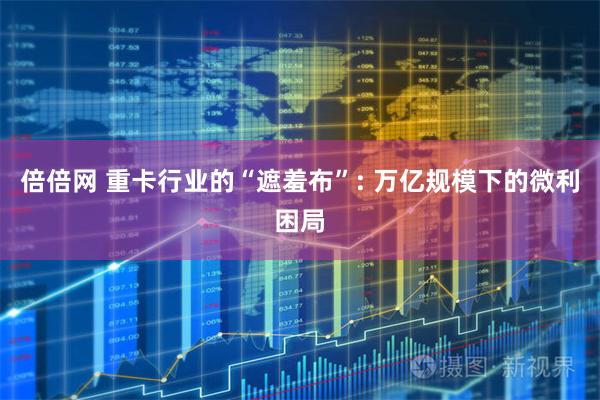 倍倍网 重卡行业的“遮羞布”: 万亿规模下的微利困局
