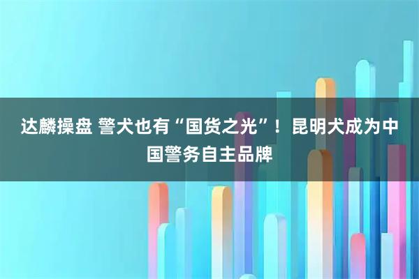 达麟操盘 警犬也有“国货之光”！昆明犬成为中国警务自主品牌