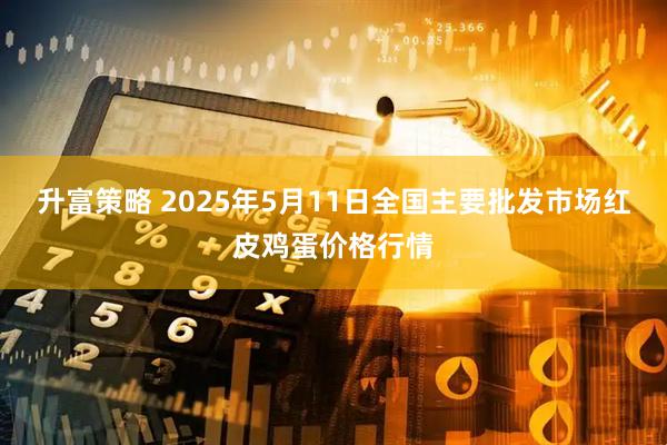 升富策略 2025年5月11日全国主要批发市场红皮鸡蛋价格行情