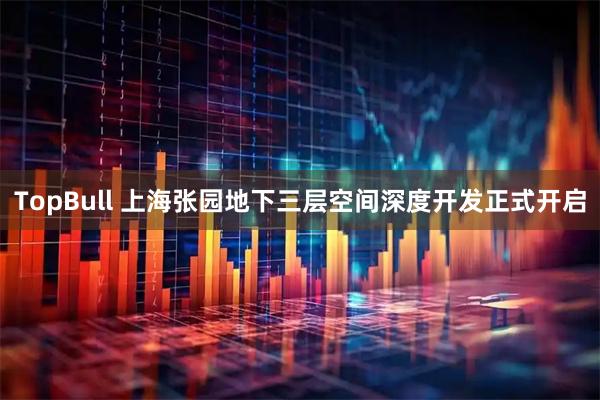TopBull 上海张园地下三层空间深度开发正式开启