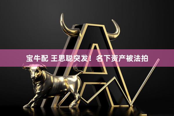 宝牛配 王思聪突发！名下资产被法拍